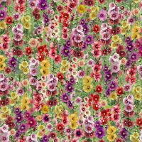 ttFARM-CD4775 SPRING